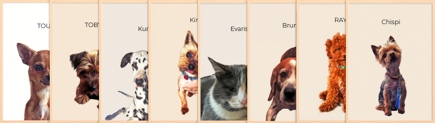 Ejemplo de nuestros retratos de mascotas